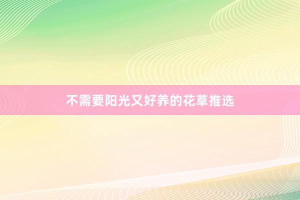 不需要阳光又好养的花草推选