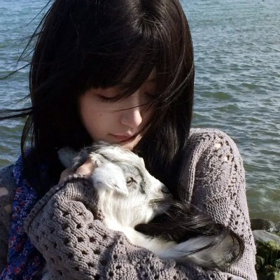 满城风絮梅子黄时雨